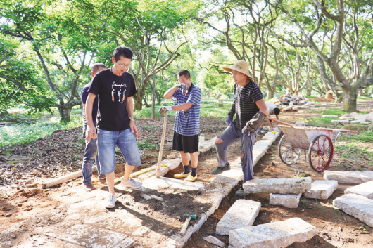     ?高橋村生態古欖園是13個駐柏塘鎮幫鎮扶村實施項目之一。這是工人在古欖園鋪設石板路。