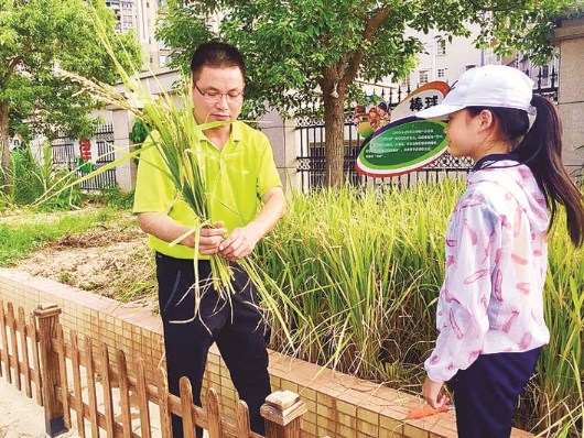     惠城區部分學校在校園內設置“勞動基地”，培養學生的動手能力。