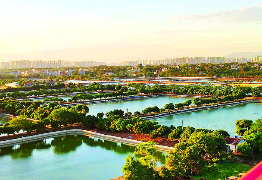     惠州市級水產產業園財興基地連片魚塘甚是壯觀。惠州日報記者朱金贊 攝