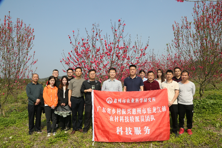 農(nóng)村科技特派員與駐鎮(zhèn)幫鎮(zhèn)扶村工作隊(duì)聯(lián)動在農(nóng)業(yè)公園開展科技幫扶(攝影:湯倩).jpg