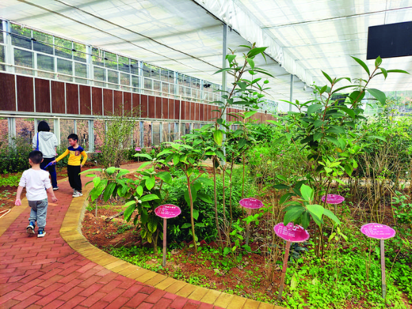     博羅藥王谷從一個種植基地漸漸變成南藥研學(xué)公園。