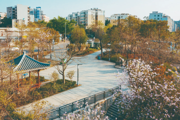     惠州著眼生態(tài)文明建設(shè)，不斷刷新城市顏值。