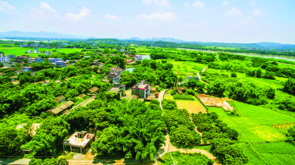     惠城區(qū)全力推動高效利用土地工作質(zhì)量和效能“雙提升”。