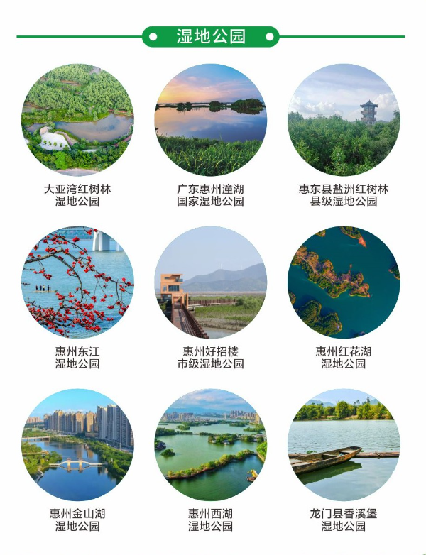 2 濕地公園.jpg