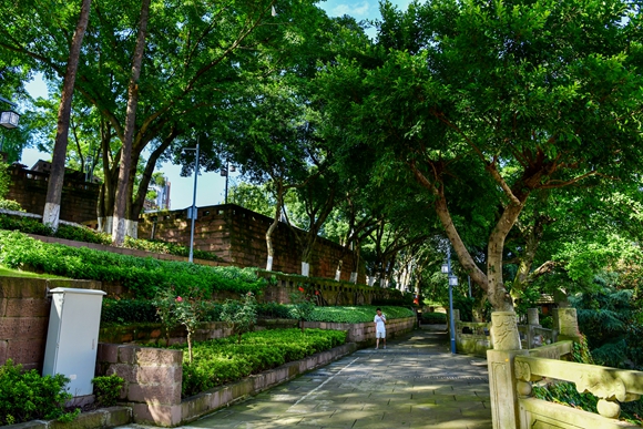 鳳山公園。銅梁區城市管理局供圖 華龍網發