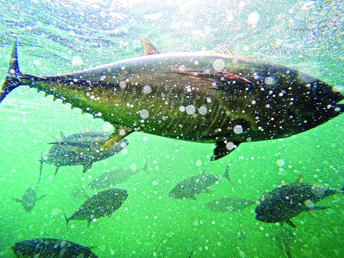 96ed2bb3-67b7-487f-84b9-c8e22e949543.jpg.jpg