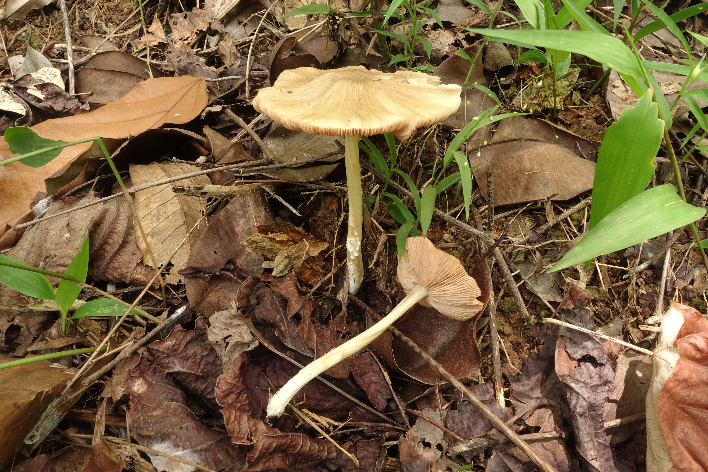 2f071896-28c9-4e04-8b10-b37feae34756.jpg.jpg